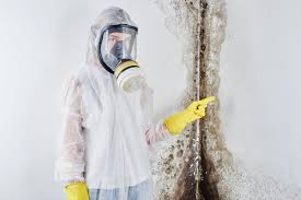 Why You Should Choose Our Mold Remediation Services in Lamar, CO